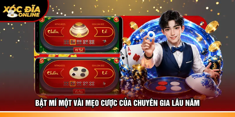 Bật mí một vài mẹo cược của chuyên gia lâu năm