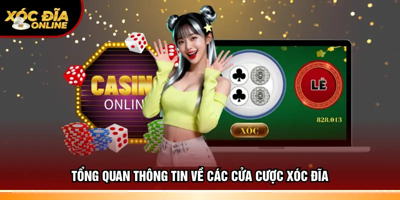 Tổng quan thông tin về các cửa cược xóc đĩa