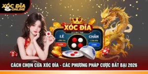 Cách chọn cửa Xóc đĩa