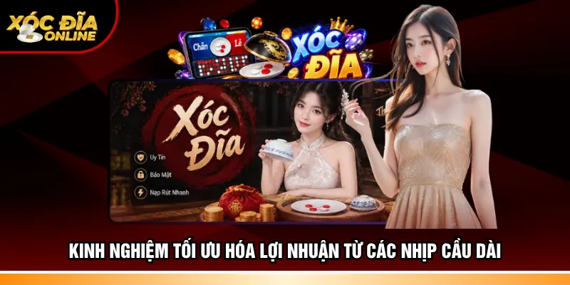 Kinh nghiệm tối ưu hóa lợi nhuận từ các nhịp cầu dài