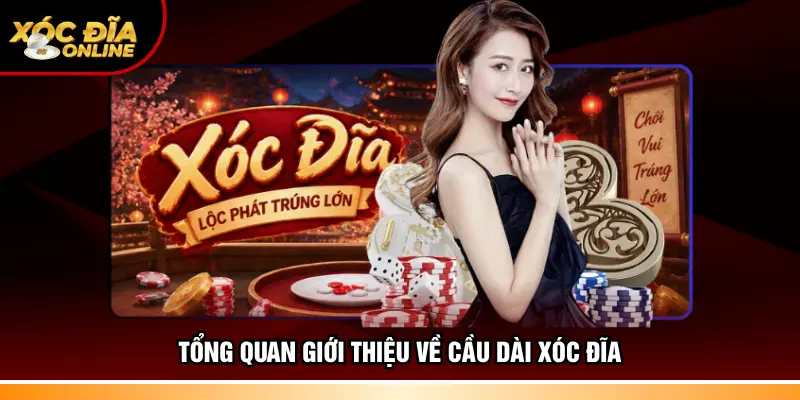 Tổng quan giới thiệu về cầu dài xóc đĩa