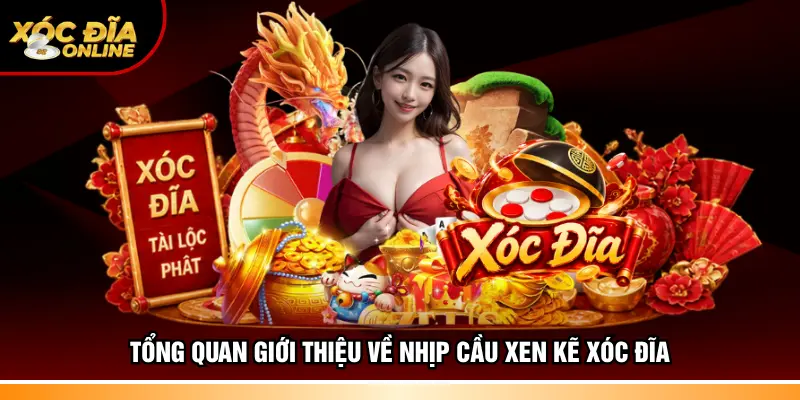 Tổng quan giới thiệu về nhịp cầu xen kẽ xóc đĩa
