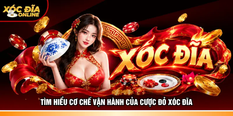 Tìm hiểu cơ chế vận hành của cược đỏ Xóc đĩa