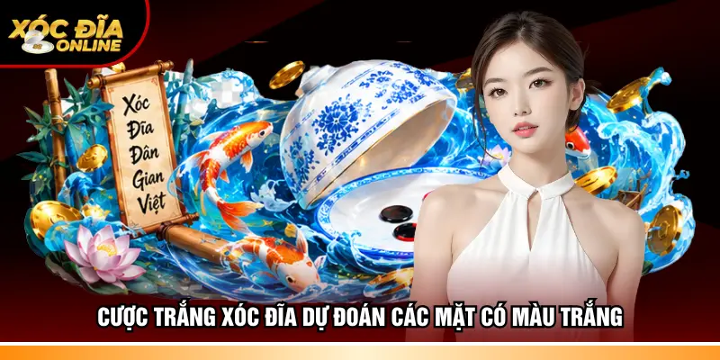 Cược trắng xóc đĩa dự đoán các mặt có màu trắng