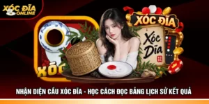 Nhận diện cầu xóc đĩa