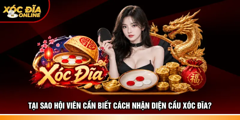 Tại sao hội viên cần biết cách nhận diện cầu xóc đĩa?