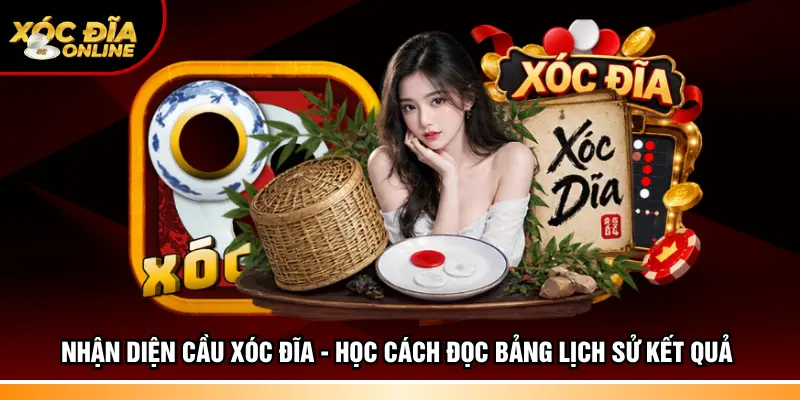 Nhận diện cầu xóc đĩa