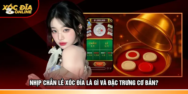 Nhịp chẵn lẻ Xóc đĩa là gì và đặc trưng cơ bản?