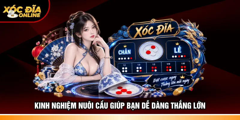 Kinh nghiệm nuôi cầu giúp bạn dễ dàng thắng lớn