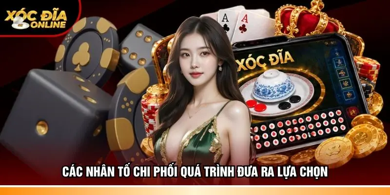 Các nhân tố chi phối quá trình đưa ra lựa chọn